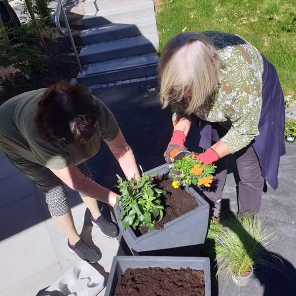 Två personer planterar blommor i en utomhuskruka på en gård