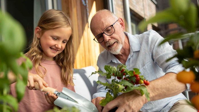 Senior  man med barn på balkong och tomatplanta