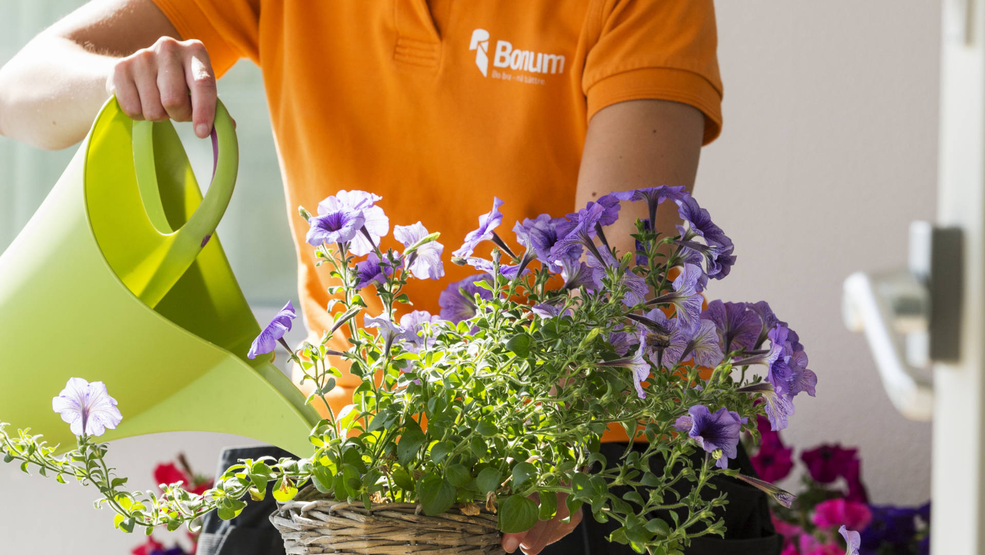 Bonumvärd vattnar blommor