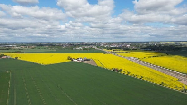 Bonum Brf Solrosen i Hjärup 