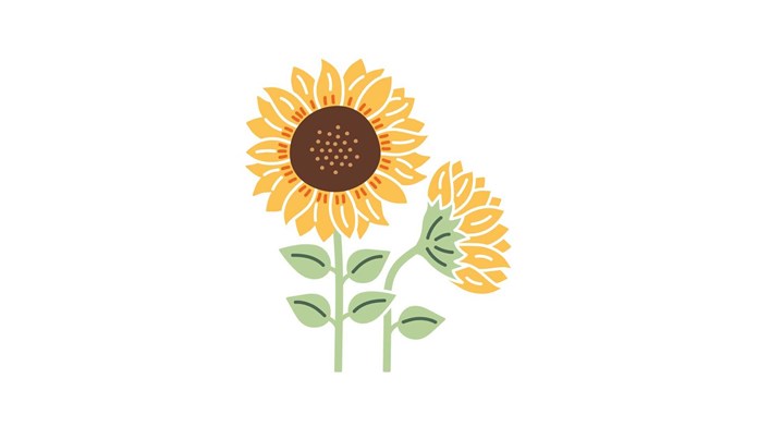 Solrosor illustration