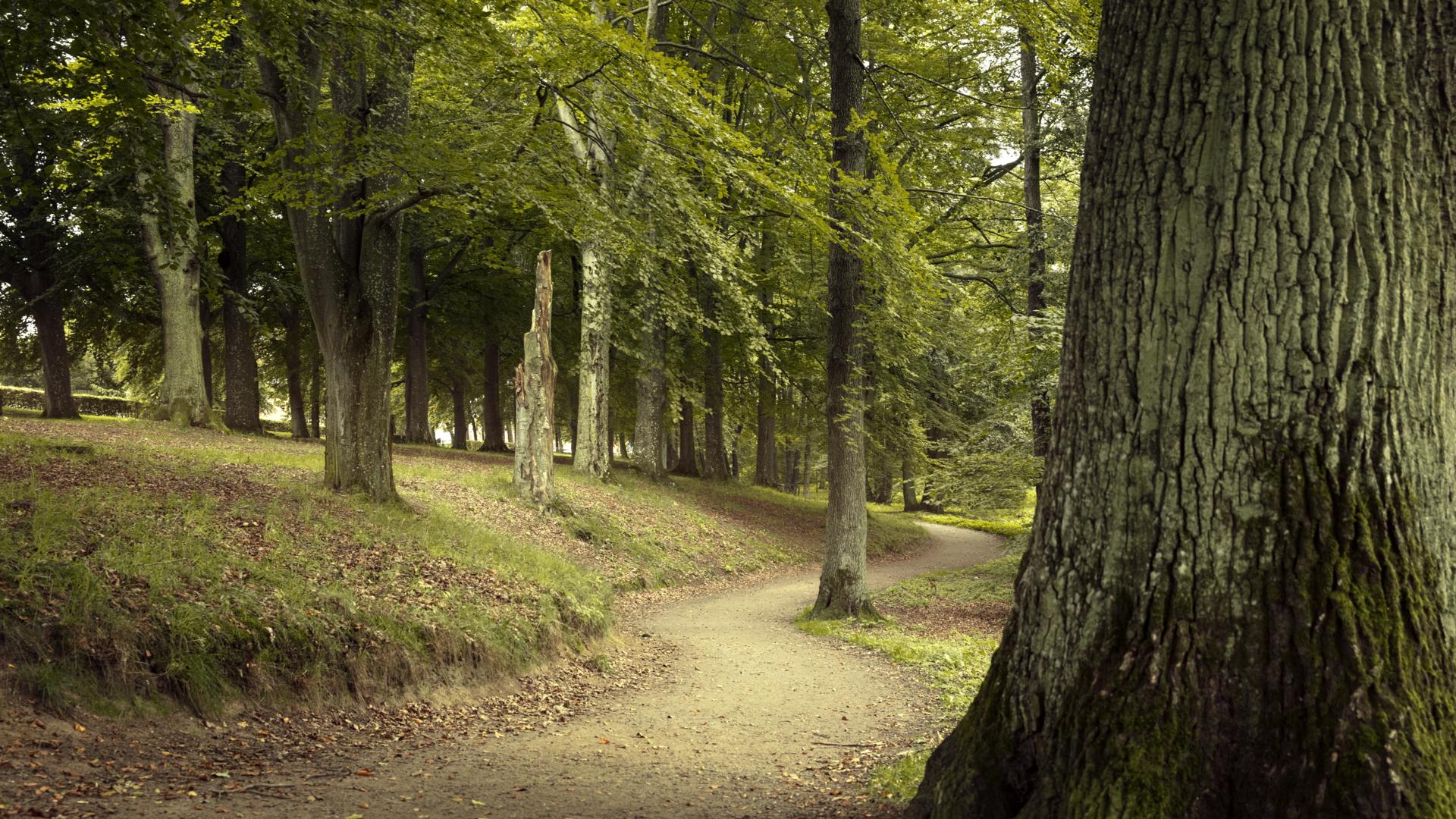 Skövde park